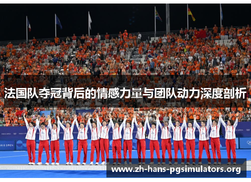 法国队夺冠背后的情感力量与团队动力深度剖析 法国队夺冠背后的情感力量与团队动力深度剖析