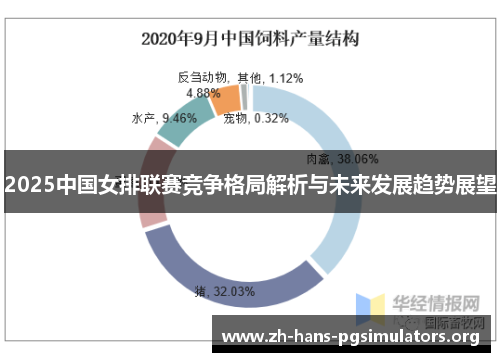 2025中国女排联赛竞争格局解析与未来发展趋势展望