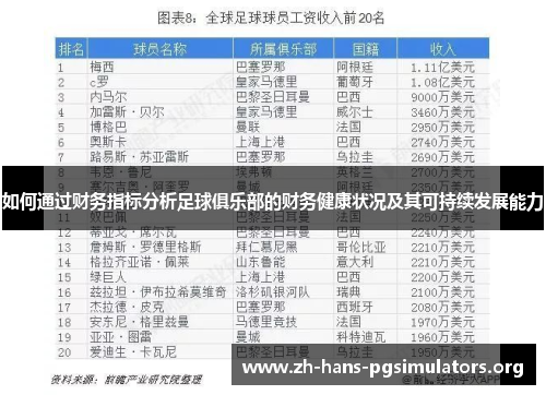 如何通过财务指标分析足球俱乐部的财务健康状况及其可持续发展能力