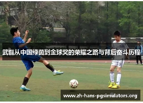 武磊从中国绿茵到金球奖的荣耀之路与背后奋斗历程