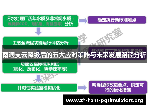 南通支云降级后的五大应对策略与未来发展路径分析
