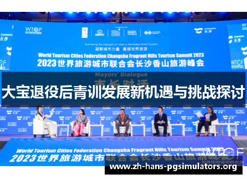 大宝退役后青训发展新机遇与挑战探讨