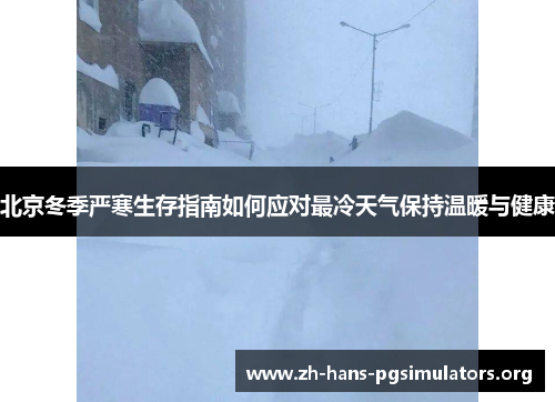 北京冬季严寒生存指南如何应对最冷天气保持温暖与健康 北京冬季严寒生存指南如何应对最冷天气保持温暖与健康