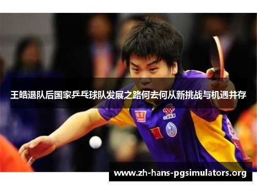 王皓退队后国家乒乓球队发展之路何去何从新挑战与机遇并存